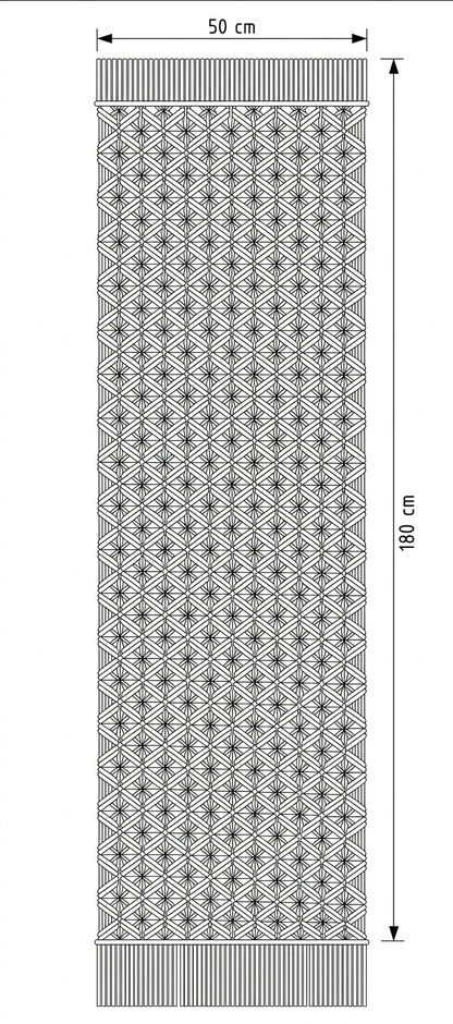 Horizon Runner